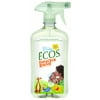 Baby Ecos Stain & Odor Remover, 17 Oz