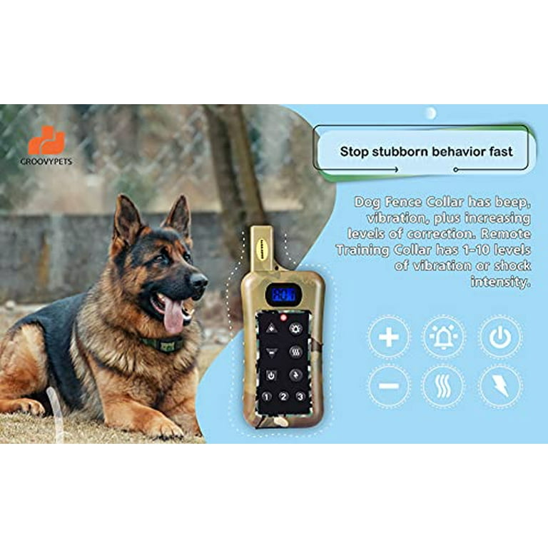 Combination invisible fence training collar hotsell