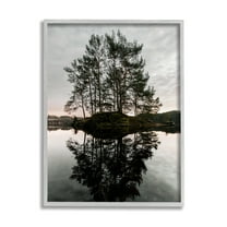 Stupell Industries Tree on Lake Landscape Nature Photography Gray Framed Art Print Wall Art, 16 x 20