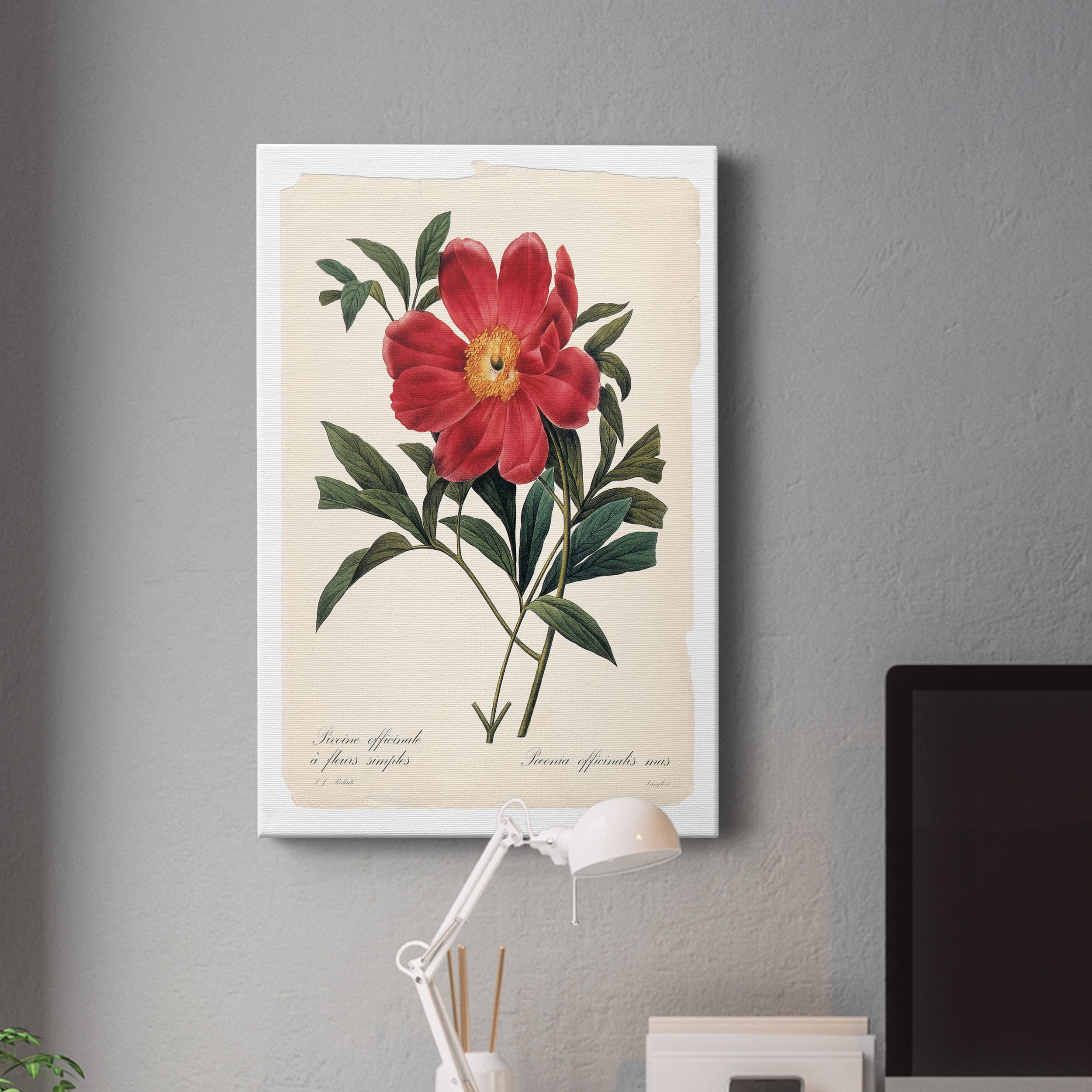 Red Botanical IV Premium Gallery Wrapped Canvas - Ready to Hang - 12 x 18