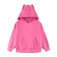 thumbnail image 4 of SJLDQY Boys Hoodies Cute Ear Hooded Sweatshirts with Kangaroo Pocket Fall Winter Outfits Long Sleeve Pullover Tops, 4 of 4