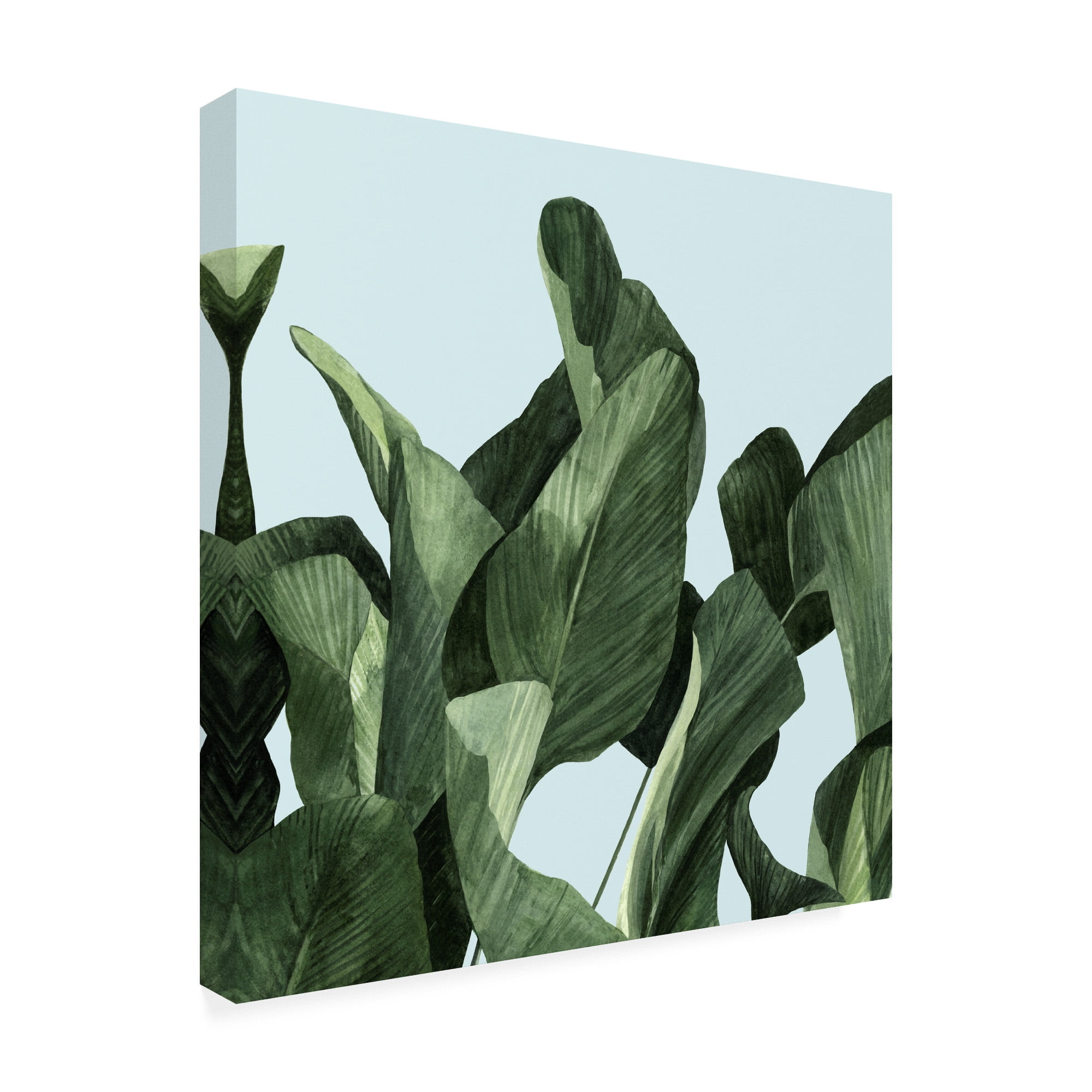 Trademark Fine Art 'Celadon Palms II' Canvas Art by Emma Scarvey