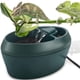 thumbnail image 1 of Cantina para reptiles y camaleones con comedero, bebedero con gotero para anfibios, insectos y lagartos. Enchufe estadounidense., 1 of 5
