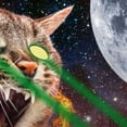 thumbnail image 5 of Funny Cat Shower Curtain, Cat Riding Dinosaur with Moon Fabric Shower Curtain with Hooks for Bathroom Decortaion, 5 of 7