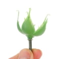 thumbnail image 3 of unbranded 200Ud Calices De Rosa Artificiales En Verde Para Proyectos De Flores Preservadas Y, 3 of 8