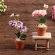 thumbnail image 3 of Mini flor en maceta en miniatura para casa de muñecas, muebles para casa de muñecas verde, decoración del hogar, plantas de simulación, 1 ud., 3 of 4
