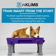 thumbnail image 3 of Blue-9 KLIMB Training Bundle with 2 Propel Platforms, Pump & Videos, Purple, 3 of 8