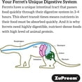thumbnail image 5 of Zupreem Nourriture Diète Premium pour Furet, 4lb, 5 of 5