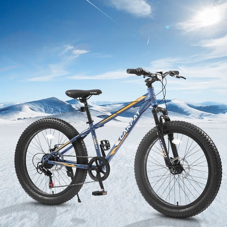 Fat Tire Mountain Bike with Dual Disc Brake 21 Speeds High-Carbon Steel Frame Bike with Front Suspension Adult Sport Bicycle for Men and Women Gray