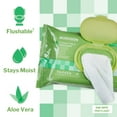 thumbnail image 2 of McKesson Flushable* Wet Wipes - Aloe & Vitamin E Formula, Gentle on Skin, Plant-Based Adult Cleansing Wipes - Scented, 48 Wipes, 12 Packs, 576 Total, 2 of 10