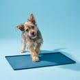thumbnail image 2 of Vibrant Life Silicone Feeding Mat for Pets, Blue, 23.4 in x 15.75 in, 2 of 10