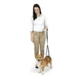 thumbnail image 4 of PetSafe CareLift Rear Support Harness for Pet Mobility & Older Dogs, Small, 4 of 8