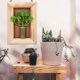 thumbnail image 5 of 4 Uds. De suculentas de simulación, bonsái para colgar en la pared, decoración interior creativa, flores artificiales y plantas verdes, 5 of 5
