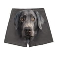 thumbnail image 2 of Mgmyaa Men's Funny Dog Print Shorts Casual Elastic Waist Summer Beach Shorts with Pockets, 2 of 9