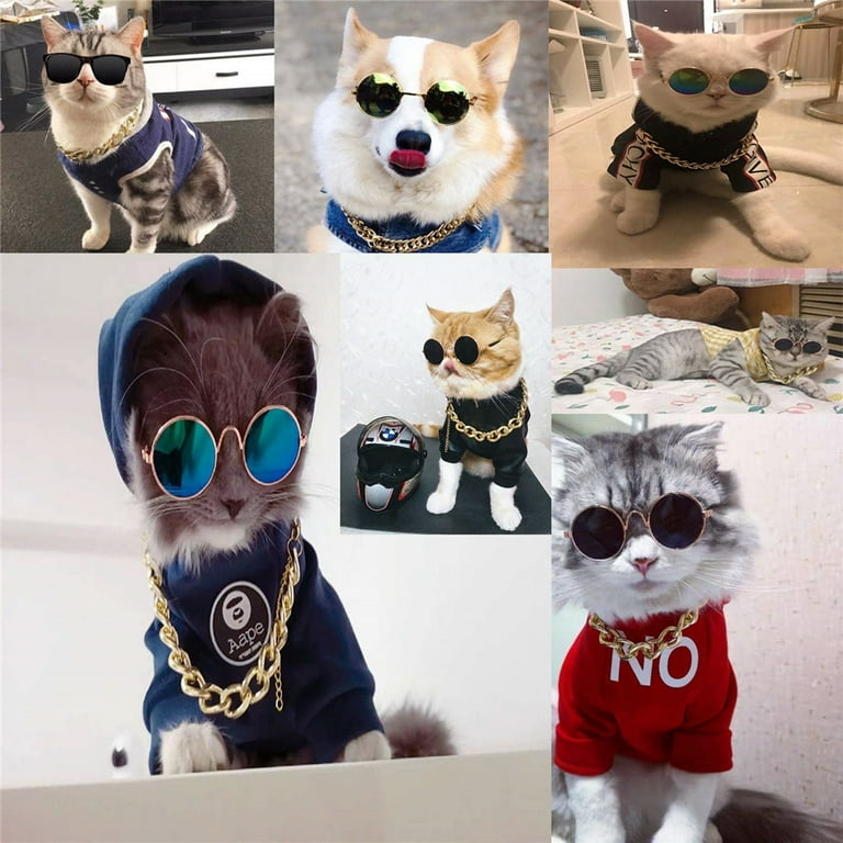 Gold chains shop for cats