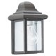 Sea Gull Lighting 8588-10 Single-Light Mullberry Hill Outdoor Wall Lantern with Clear Beveled Glass Bronze – image 1 sur 1