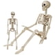 thumbnail image 1 of Decoraciones de Halloween Momax Esqueleto 3FT y 40cm de Plástico, 1 of 6
