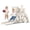 White Gray, variant on DKMOCO 6-in-1 Toddler Slide, Climber Slide PlaySet with Basketball Hoop, Telescope & Anti-Slip Pads, Indoor Outdoor Playground Age 1-3, White Gray