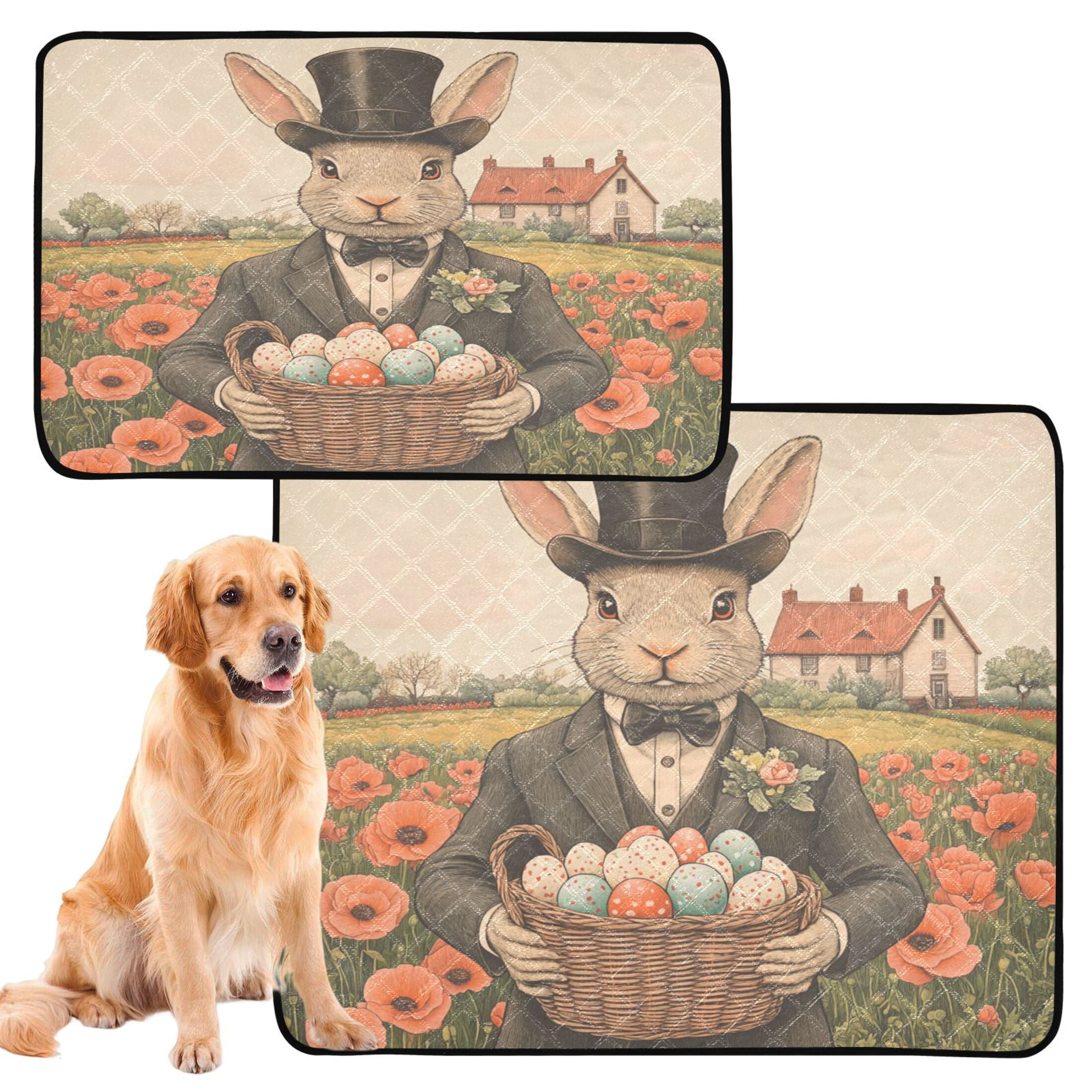Qxltty Mister Easter Bunny Cat litter Pads Pet Set of 3 Diaper Mats Center Anti-leakage Layer Absorbent Soft and Comfortable