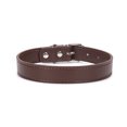 thumbnail image 1 of Rolled Leather Dog Collar for Small Pets - Durable Steel D-Ring and Metal Buckle - Bright, Comfortable Accessory, 1 of 1
