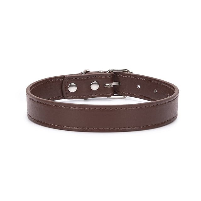 Rolled Leather Dog Collar for Small Pets - Durable Steel D-Ring and Metal Buckle - Bright, Comfortable Accessory
