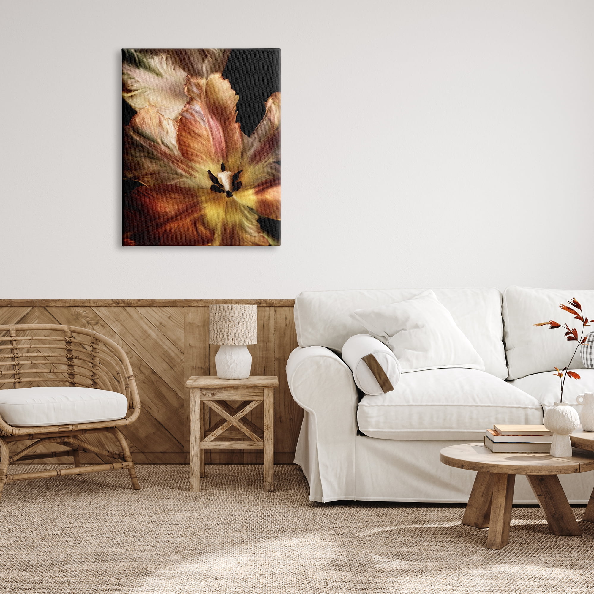 Stupell Industries Tulip Petals Detail Botanical & Floral Photography Gallery Wrapped Canvas Print Wall Art, 30 x 40