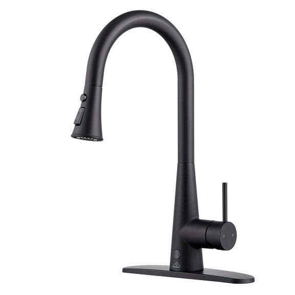Boyel Living Pull-out infrared induction kitchen faucet
