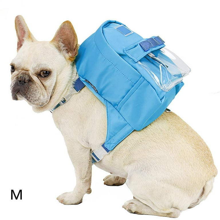How Do You Backpack With A Dog
