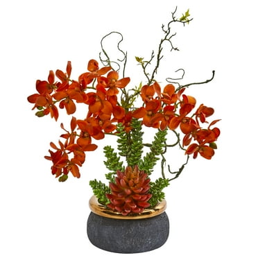 Nearly Natural Autumn Phalaenopsis Orchid and Succulent Artificial Arrangement in Vase