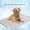 A, variant on Extra Large Dog Cooling Mat, Self-Cooling Washable Pet Pad for Dogs and Cats, Portable Cooling Mat for Indoor, Outdoor and Car Use 59"×39"