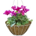 thumbnail image 2 of CobraCo HGB16-W 16 in. Growers Style Hanging Basket - White, 2 of 2