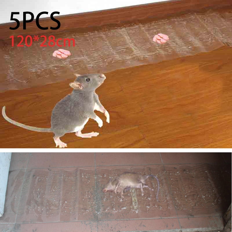 Mice J T Eaton 157 StickEm Mighty Glue Board for Rats Insects and More 