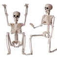 thumbnail image 1 of Halloween Decoration Outdoor Indoor 2 Packs Skeletons 16" Small Plastic Skeleton With Posable Movable Joints Halloween Skeleton For House Table Decor, 1 of 9