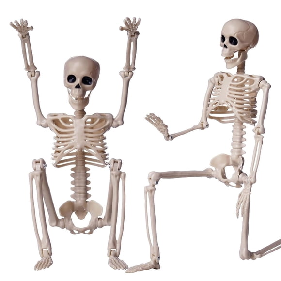Halloween Decoration Outdoor Indoor 2 Packs Skeletons 16" Small Plastic Skeleton With Posable Movable Joints Halloween Skeleton For House Table Decor