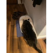 Front Cover for SureFeed Microchip Pet Feeder, Avoid Pets competing for Food, Prevent Food Stealing for Cats and Small Dogs (Cat Shape)