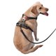 thumbnail image 2 of Balery Floral Sunglasses Cat Art Arnés para Perros Grandes Antitirones, Arnés con Correa para Gato, Arnés Tipo Chaleco para Perros Pequeños-Large, 2 of 6