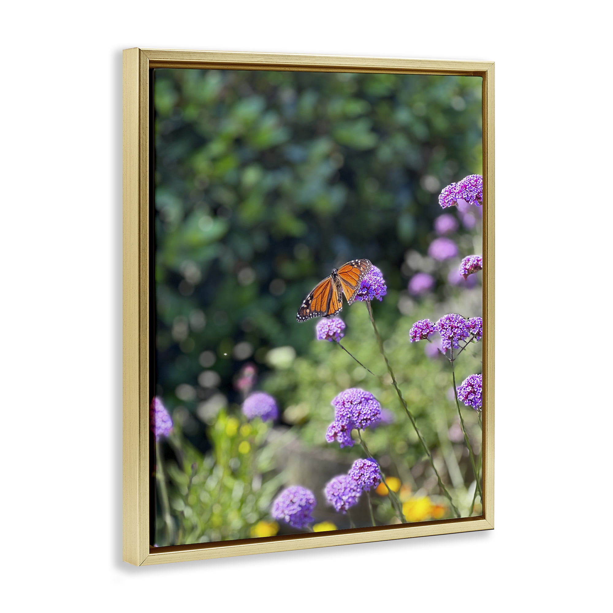 Stupell Industries Butterfly in Meadow Animals & Insects Photography Gold Floater Framed Art Print Wall Art, 17 x 21