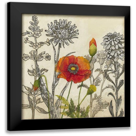 Meagher, Megan 12x12 Black Modern Framed Museum Art Print Titled - Emerging Poppy