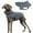 Grey, variant on HQREA Dog Puffer Jacket Greyhound Winter Coat Cold Weather Waterproof Reflective Vest for Medium Large Dogs