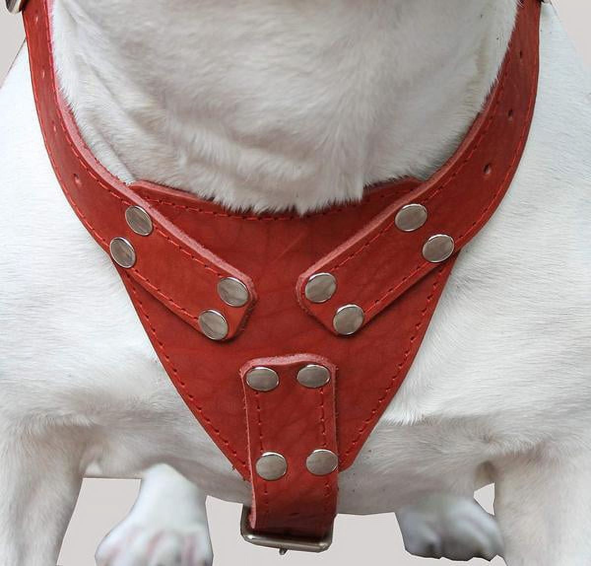 Red Genuine Leather Dog Harness Large. 30"-35" Chest size, 1.5" Wide Straps Pitbull, Cane Corso