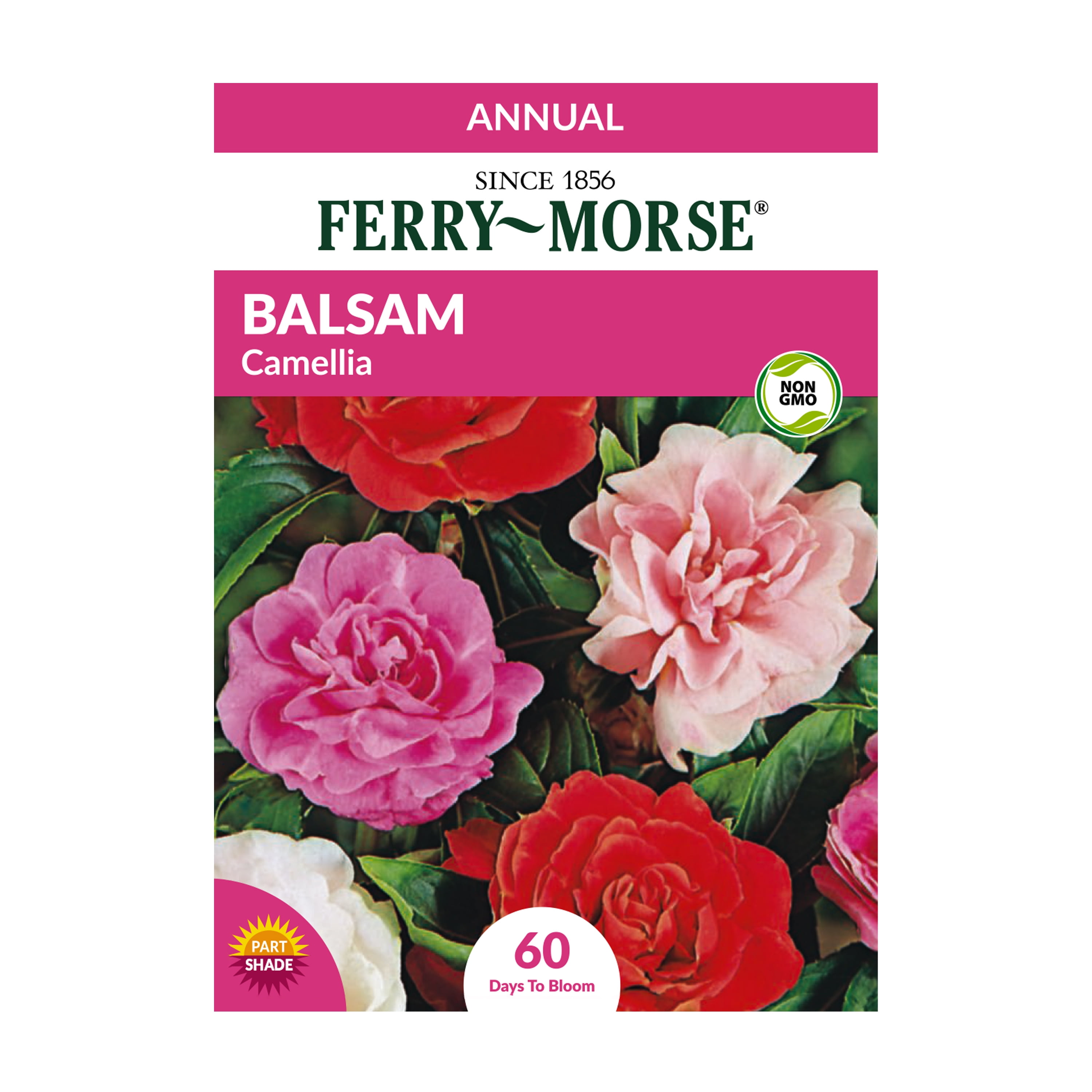 Ferry-Morse 30MG Balsam Camellia Flower Seeds Flower Seeds (1 Pack)- Seed Gardening, Full Sunlight