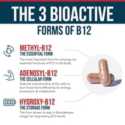 Triquetra BioActive B12 (1000 mcg): Vitamin B12 Plus L-Methylfolate