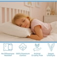 thumbnail image 6 of Kinder Fluff Youth Pillows, 2-Pack, Ages 12+, Soft Hypoallergenic Down Alternative Fill, 300TC Cotton, 17x26 in, Blue, 6 of 9