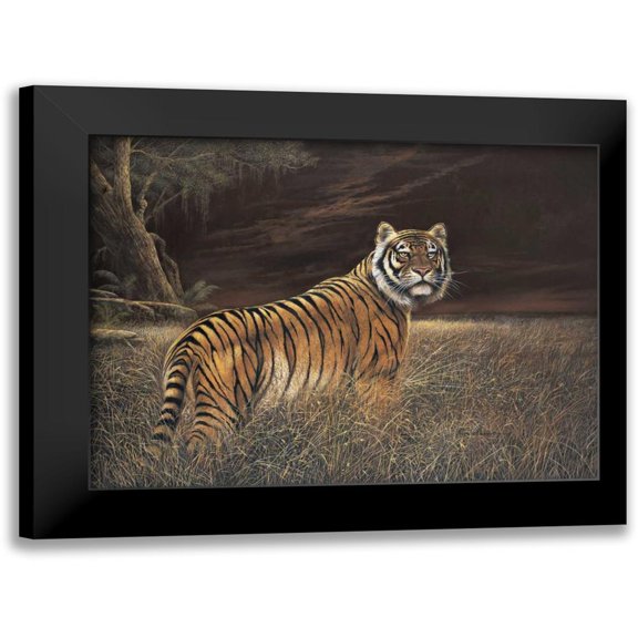 Manning, Ruane 14x12 Black Modern Framed Museum Art Print Titled - Splendor in the Grass