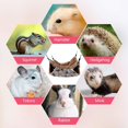 thumbnail image 3 of ZHAOCHENG Hamaca de conejillo de indias | Hamaca cálida de 3 niveles para jugar y descansar, hamaca para animales pequeños, saco de dormir pequeño para mascotas pequeñas., 3 of 4