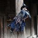 thumbnail image 1 of Adorno colgante volador de terror, decoración de muñeca gritadora de Halloween para jardín de porche LingWen 9024715528193, 1 of 1