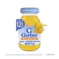 thumbnail image 1 of Bebidas Gerber Plus Mango Etapa 4 175 ml, 1 of 5