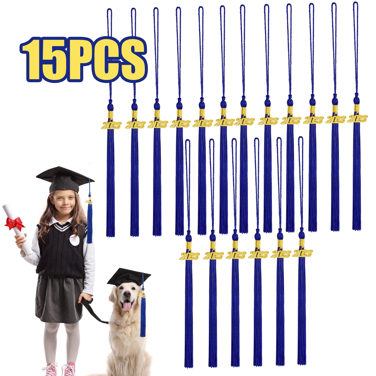 15 Pcs 2023 Grad Graduation Tassels,Graduation Tassel with 2023 Year
