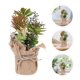 thumbnail image 2 of Planta suculenta artificial, decoración paisajística, adorno, planta en maceta vívida, 2 of 5
