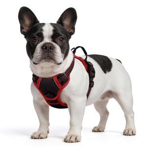 Pigo No-Pull Dog Harness, XS, Black & Red with Handle